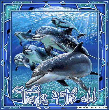 Blue dolphin graphic with a Thanks for the Add message.