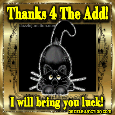 Black cat graphic that says Thanks 4 the Add.