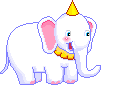 Bday Elephant