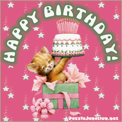 Cat Cake Gift
