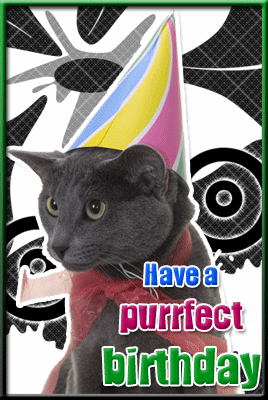 Prrfect Birthday