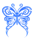 Tiny Blue Butterfly