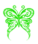 Tiny Green Butterfly