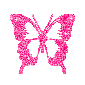 Tiny Pink Butterfly