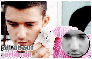 All About Orlando