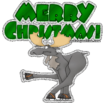 Ice Skating Moose