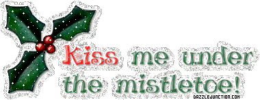 Kiss Me Under Mistletoe