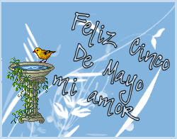 Cinco De Mayo Amor