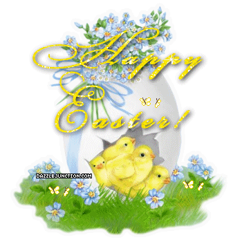 Egg Chick Butterfly