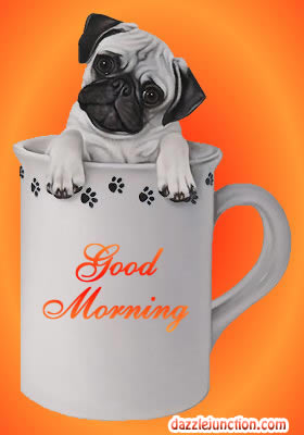 Dog In Cup