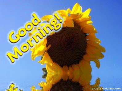 Good Morning Sunflower