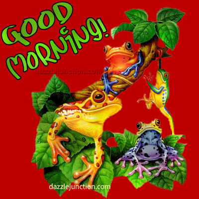 Morning Frogs