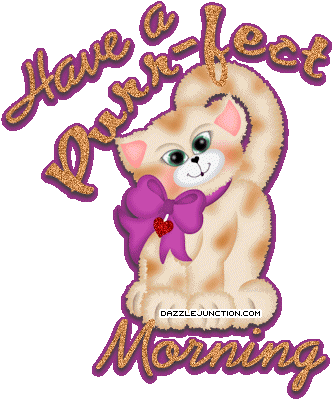 Purr Fect Morning