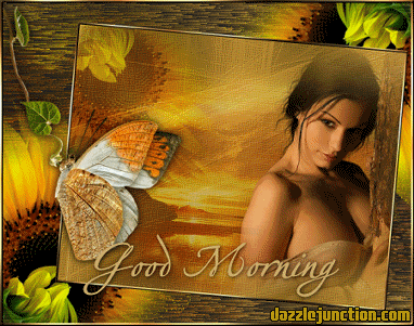 Sunflower Morning