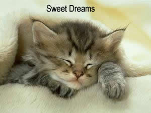 Good Night 9