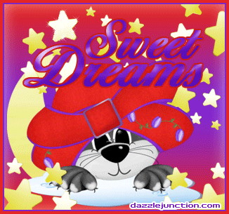 Sweet Dreams Cat