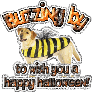 Halloween Dog Buzzing By