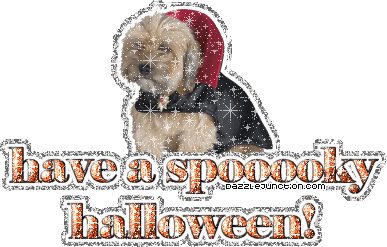 Halloween Dog Spooooky