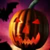 Jack O Lantern