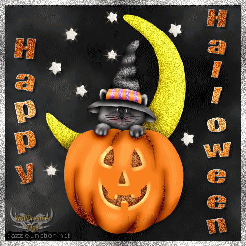 Moon Cat Pumpkin