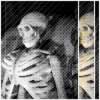 Skeleton