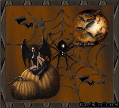 Spider Web