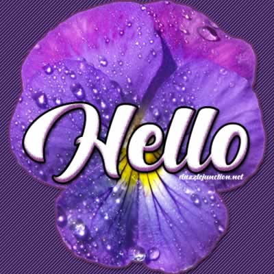 Purple flower greeting image that says Hello