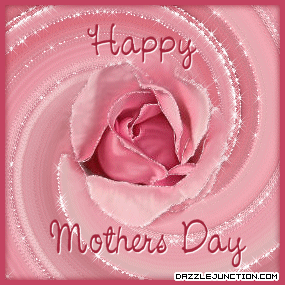 Mothers Day Pink Rose