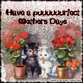Puuuuurfect Mother