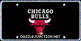 Chicago Bulls