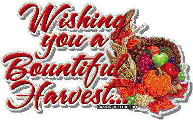 Bountiful Harvest