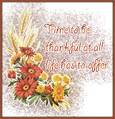 Thankful Life