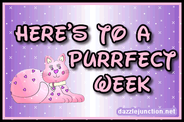 Purrfect