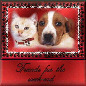 Cat Dog Friends