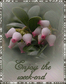 Enjoy Weekend