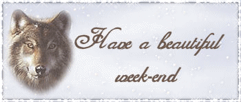Wolf Weekend